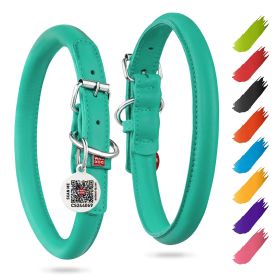 Ultra Soft Rolled Leather Dog Collar for Small Medium Dogs Soft Padded Dog Collars Male and Female Dog Collar 13-16 inch Neck Mint Color